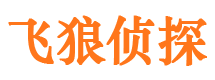 卢氏侦探公司